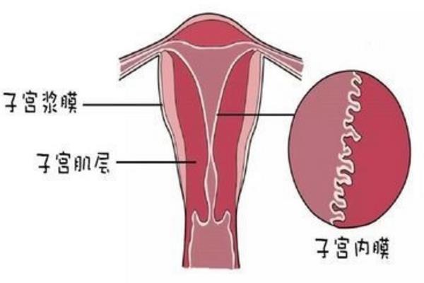 国内代孕